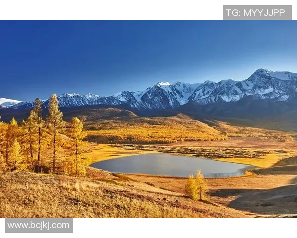 探索摩尔特里之美:自然风光与人文魅力的完美结合