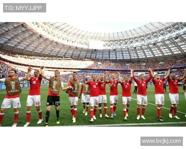 瑞典与丹麦足球对决结果揭晓精彩瞬间回顾与分析